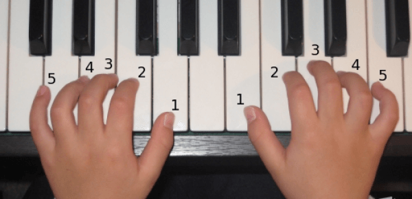 Tư vấn mua đàn organ yamaha cho từng người chơi