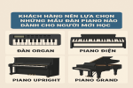 Những Người Mới Học Piano Thì Nên Chọn Những Mẫu đàn Nào 