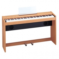 Đàn Piano Điện RoLand F100