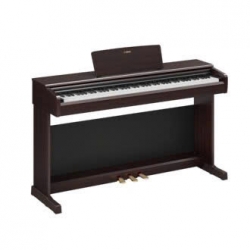 Piano điện Yamaha YDP-146