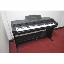 Đàn Piano Điện CASIO AP 30