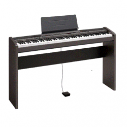 Đàn Piano Điện CASIO PX 310