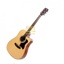 Đàn guitar Saga D10C