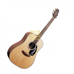 Đàn guitar Takamine D2D