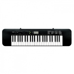 Đàn organ Casio CTK-245