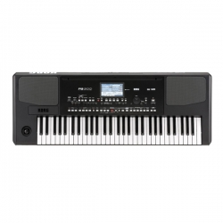 Đàn Organ Korg Pa300