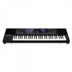 Đàn organ Roland E A7
