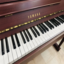 Đàn Piano Điện Yamaha DUP-5