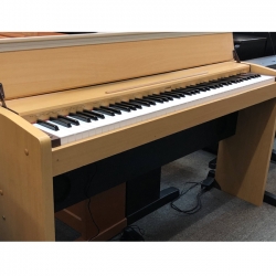 Đàn Piano Điện CASIO PS3000