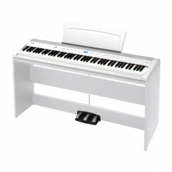 Đàn piano điện Dynatone DPP 510