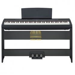 Đàn Piano điện Yamaha P-115