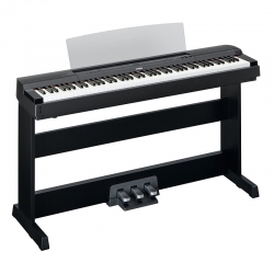 Đàn Piano Điện Yamaha P-255
