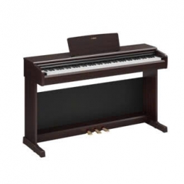 Piano điện Yamaha YDP-146