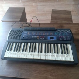 Đàn organ Casio LK22