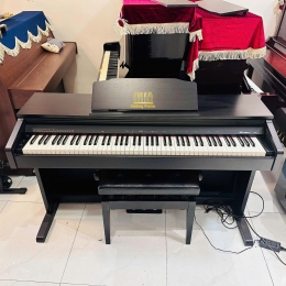 Đàn Piano Điện Roland RP-30