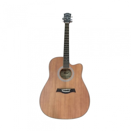 Đàn Guitar Dart D280