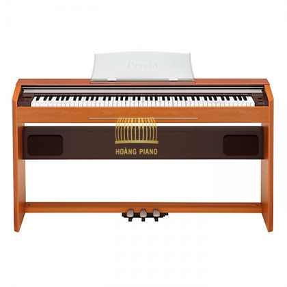 Đàn Piano điện Casio PX 800