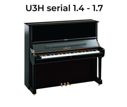 piano điện 