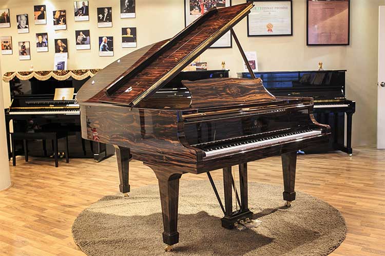 Mua đàn piano cơ: Hướng dẫn xác định giá cả phù hợp với nhu cầu
