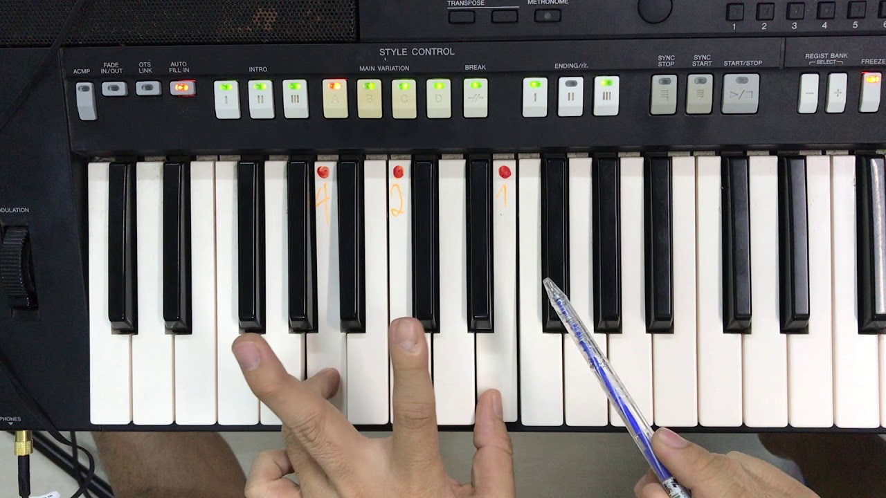 Hướng dẫn học và chơi đàn Organ hiệu quả
